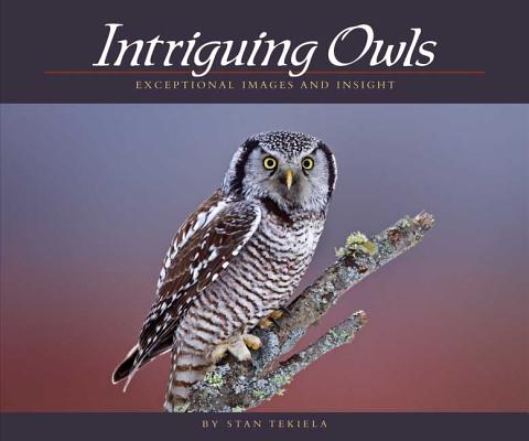 Intriguing Owls: Exceptional Images and Insight