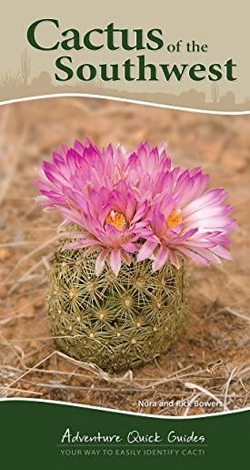 Cactus of the Southwest: Your Way to Easily Identify Cacti