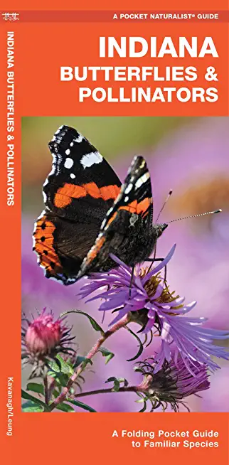 Indiana Butterflies & Pollinators: A Folding Pocket Guide to Familiar Species