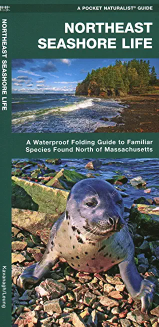 Northeast Seashore Life: A Waterproof Folding Guide to Familiar Animals & Plants North of Massachusetts
