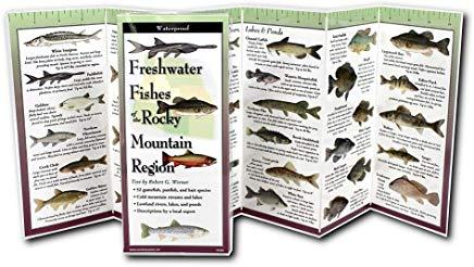 Freshwater Fishes of the Rocky Mountain Region