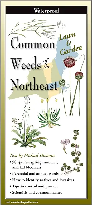 Common Weeds of the Northeast