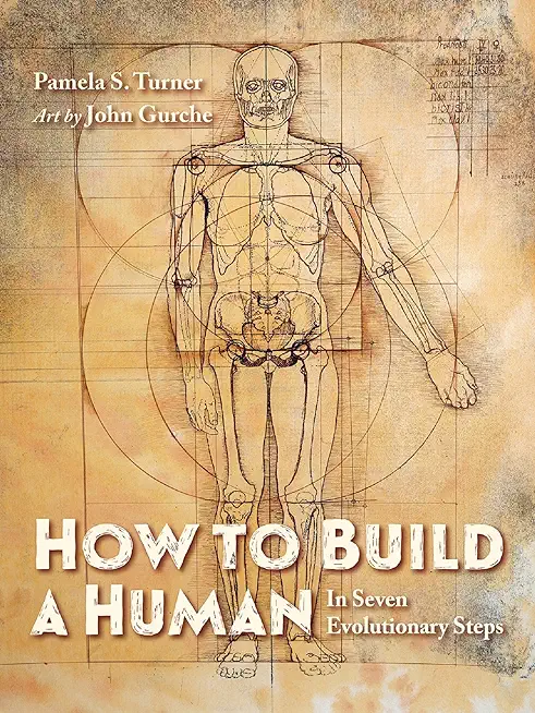 How to Build a Human: In Seven Evolutionary Steps