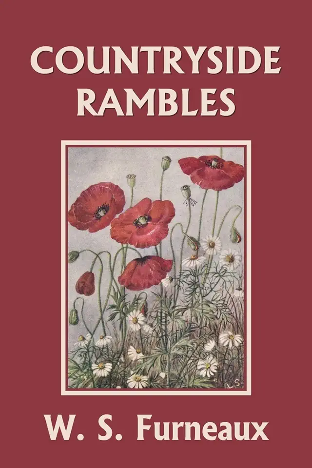 Countryside Rambles (Yesterday's Classics)