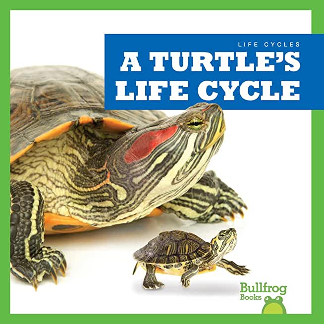 A Turtle's Life Cycle