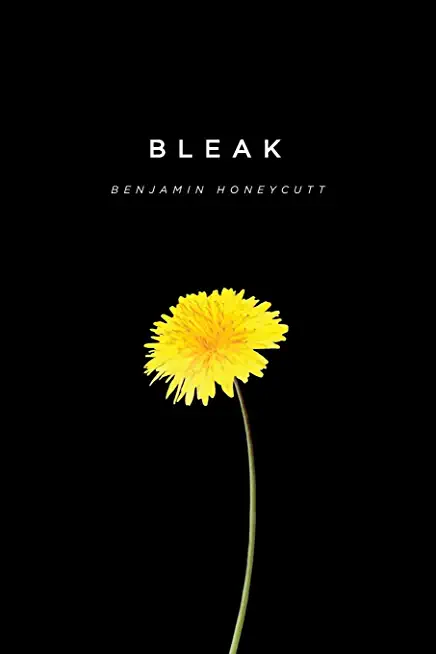 Bleak: A Story of Bullying, Rage, and Survival