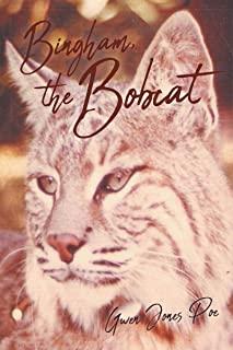 Bingham the Bobcat