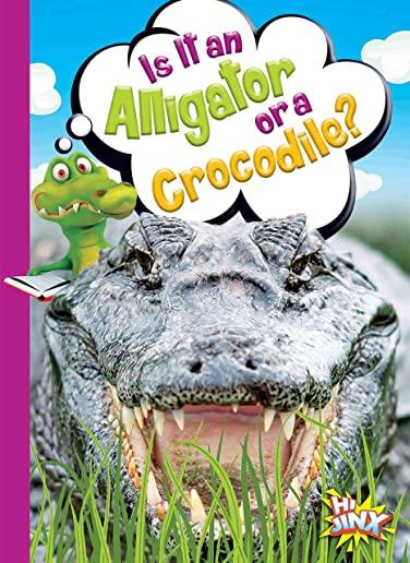Is It an Alligator or a Crocodile?