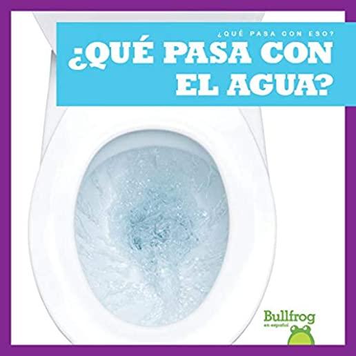 Â¿quÃ© Pasa Con El Agua? (Where Does Water Go?)