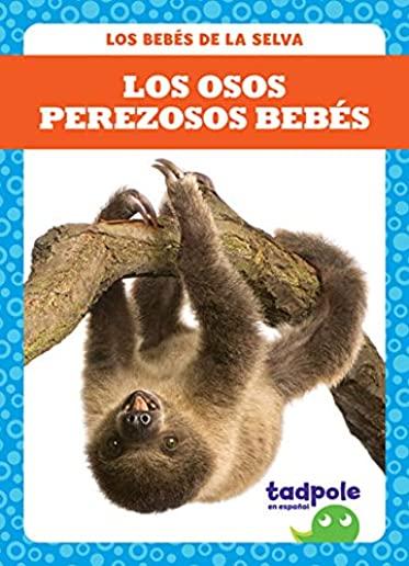 Los Osos Perezosos BebÃ©s (Sloth Babies)