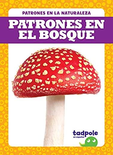 Patrones En El Bosque (Patterns in the Forest)