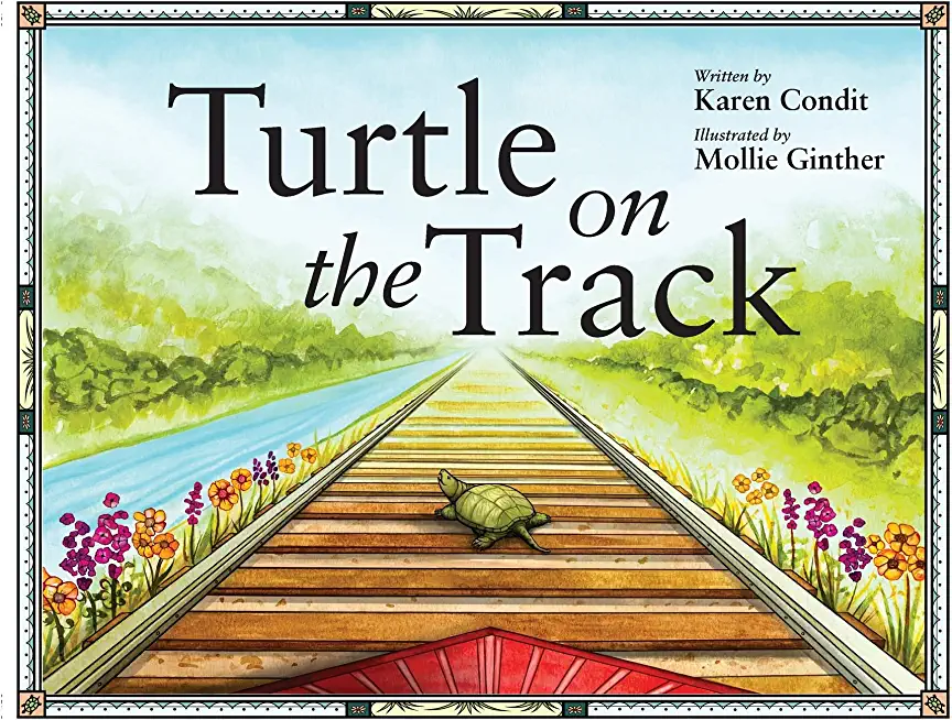 Turtle on the Track