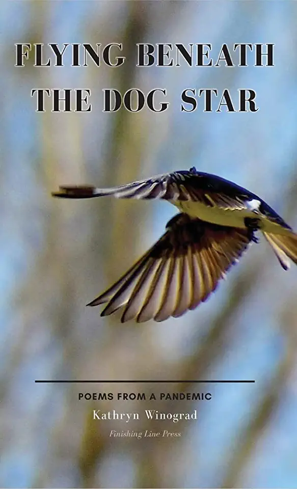 Flying Beneath the Dog Star: Poems from a Pandemic