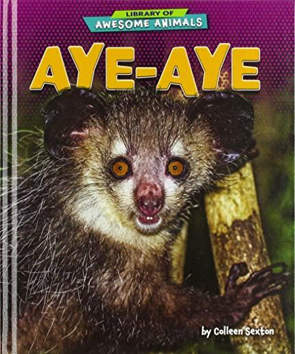 Aye-Aye