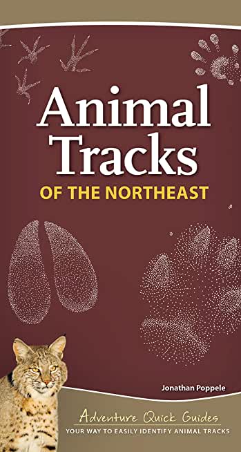 Animal Tracks of the Northeast: Your Way to Easily Identify Animal Tracks