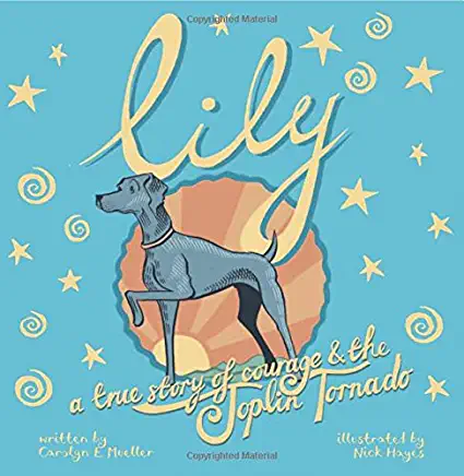 Lily: A True Story of Courage and the Joplin Tornado