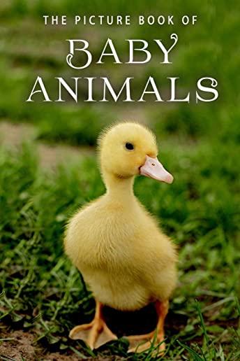 The Picture Book of Baby Animals: A Gift Book for Alzheimer's Patients and Seniors with Dementia