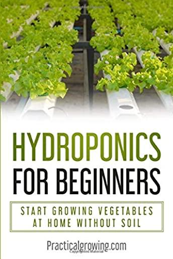 Hydroponics for Beginners: Start Growing Vegetables at Home Without Soil