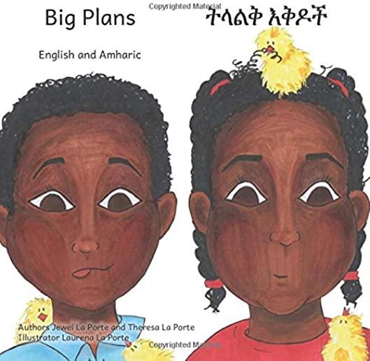 Big Plans: How not to hatch an egg - In English and Amharic