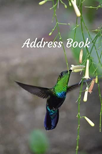 Address Book: With Alphabetical Tabs, For Contacts, Addresses, Phone, Email, Birthdays and Anniversaries (Hummingbird)