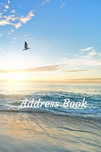 Address Book: With Alphabetical Tabs, For Contacts, Addresses, Phone, Email, Birthdays and Anniversaries (Beach)