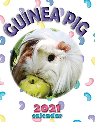 Guinea Pig 2021 Calendar