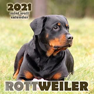 Rottweiler 2021 Mini Wall Calendar