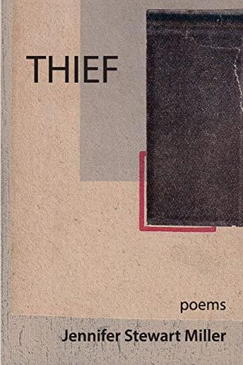 Thief: poems