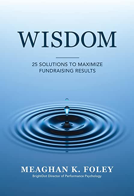 Wisdom: 25 Solutions to Maximize Fundraising Results