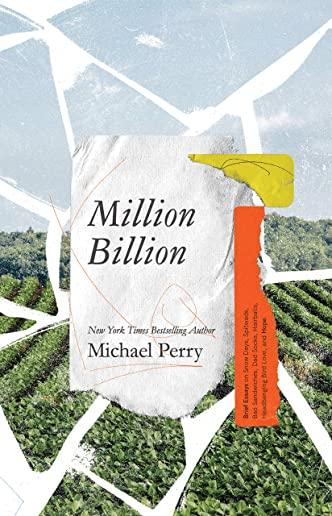 Million Billion: Brief Essays on Snow Days, Spitwads, Bad Sandwiches, Dad Socks, Hairballs, Headbanging Bird Love, and Hope.