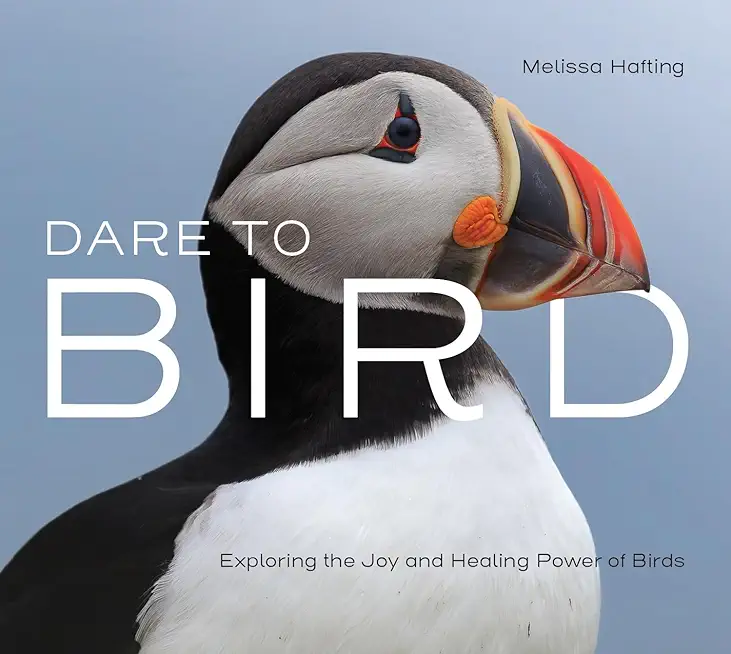 Dare to Bird: Exploring the Joy and Healing Power of Birds