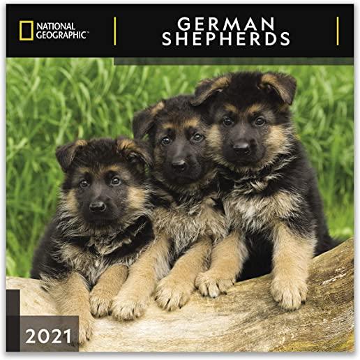 Cal 2021- Ng German Shepherds Wall