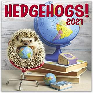Cal 2021- Hedgehogs Wall