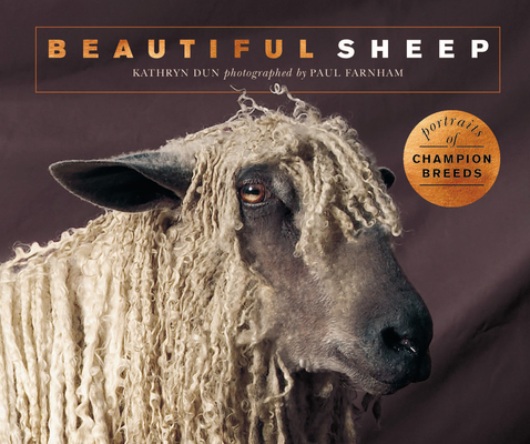 Beautiful Sheep: Portraits of Champion Breeds