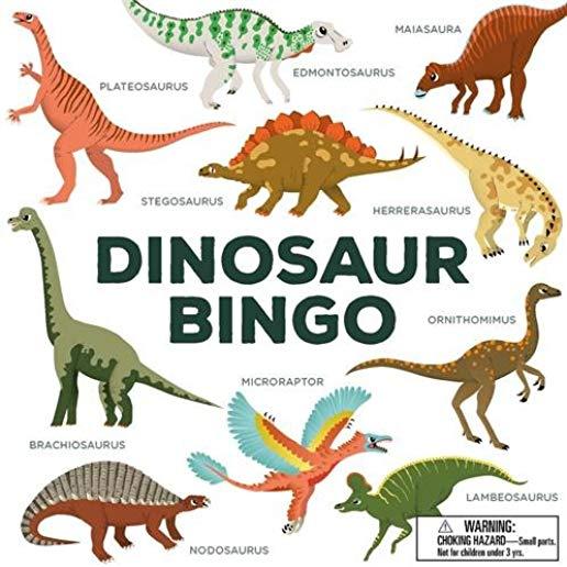 Dinosaur Bingo: (an Easy-To-Play Game for Children and Families)