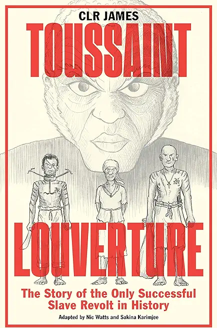 Toussaint Louverture: The Story of the Only Successful Slave Revolt in History