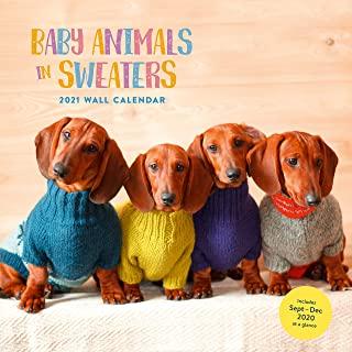 Baby Animals in Sweaters 2021 Wall Calendar: (cutest Animals Monthly Calendar, Wall Calendar of Cuddly Animals Wearing Sweaters)