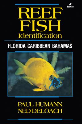 Reef Fish Identification: Florida Caribbean Bahamas