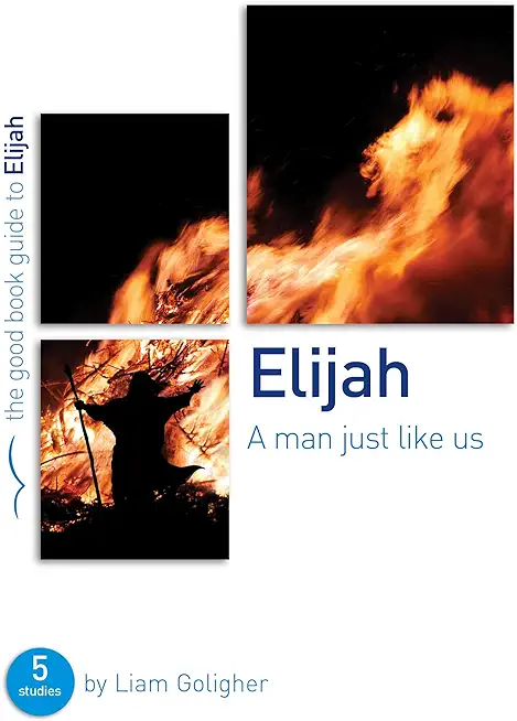 Elijah: A Man Just Like Us: 5 Studies for Individuals or Groups