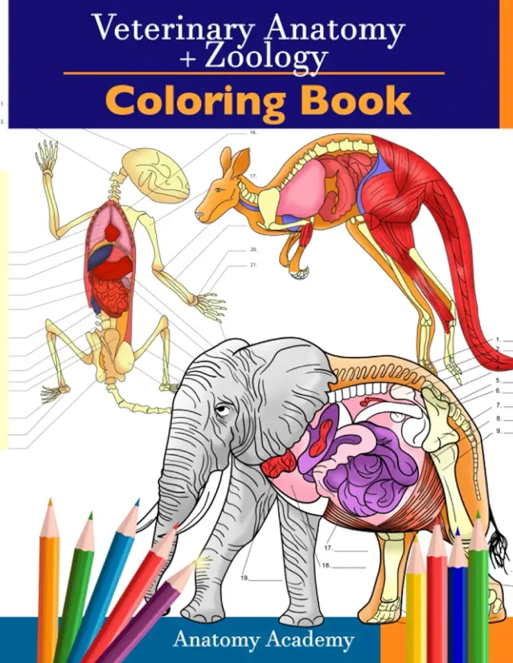 Veterinary & Zoology Coloring Book: 2-in-1 Compilation Incredibly Detailed Self-Test Animal Anatomy Color workbook Perfect Gift for Vet Students and A
