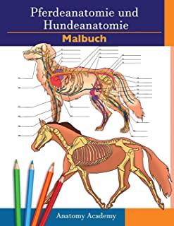 Farbbuch fÃ¼r Pferde- und Hundeanatomie: 2-in-1 Zusammenstellung - Unglaublich detailliertes Arbeitsbuch zum Selbsttest fÃ¼r Pferde- und Hundeanatomie -