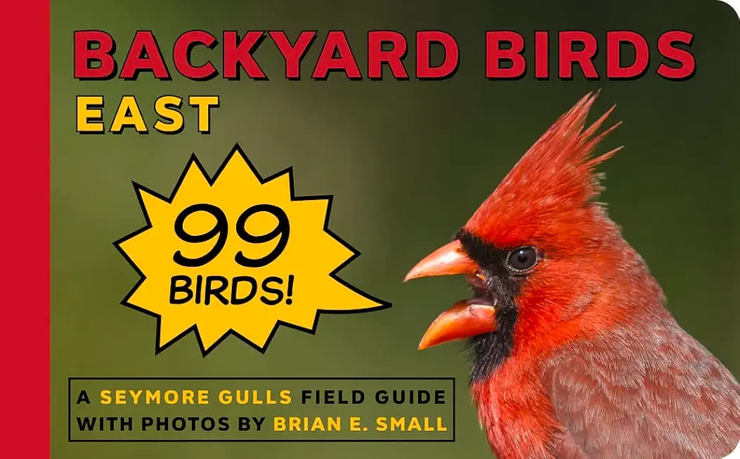 Backyard Birds East
