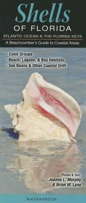 Shells of Florida-Atlantic Ocean & Florida Keys: A Beachcomber's Guide to Coastal Areas