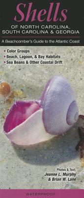 Shells of North Carolina, South Carolina & Georgia: A Beachcomber's Guide to the Atlantic Coast
