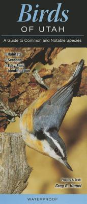 Birds of Utah: A Guide to Common & Notable Species