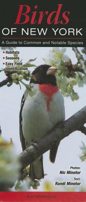 Birds of New York: A Guide to Common & Notable Species