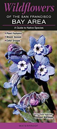 Wildflowers of the San Francisco Bay Area: A Guide to Common & Notable Species