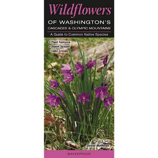 Wildflowers of Washington's Cascades & Olympic Mountains: A Guide to Common Native Species
