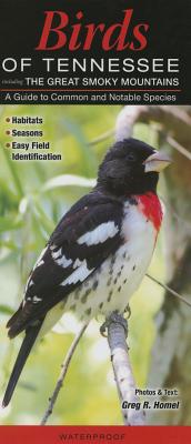 Birds of Tennessee, Incl. the Great Smoky Mountains: A Guide to Common & Notable Species