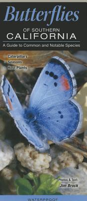Butterflies of Southern California: A Guide to Common and Notable Species